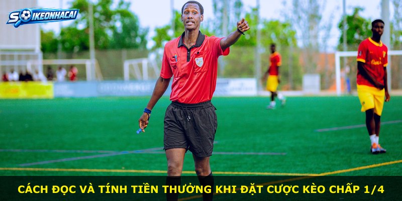 Cách đọc và tính tiền thưởng khi đặt cược kèo chấp 1/4