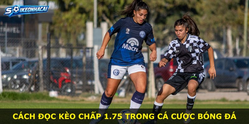 Cách đọc kèo chấp 1.75 trong cá cược bóng đá