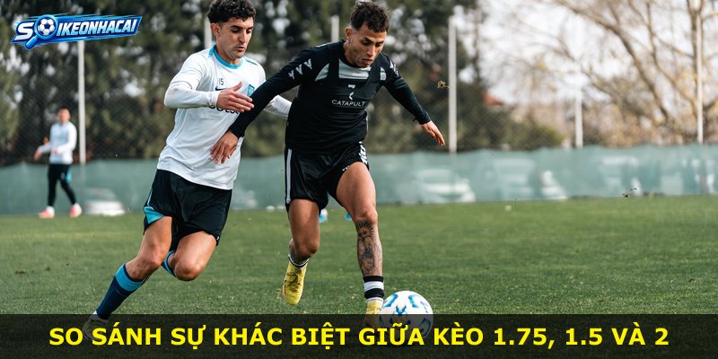 So sánh sự khác biệt giữa kèo 1.75, 1.5 và 2