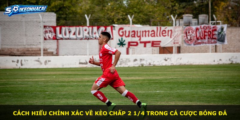 Cách hiểu chính xác về kèo chấp 2 1/4 trong cá cược bóng đá