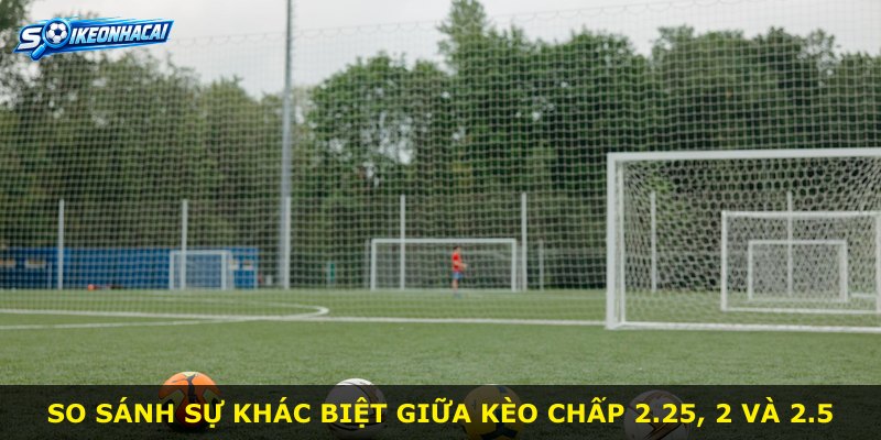 So sánh sự khác biệt giữa kèo chấp 2.25, 2 và 2.5