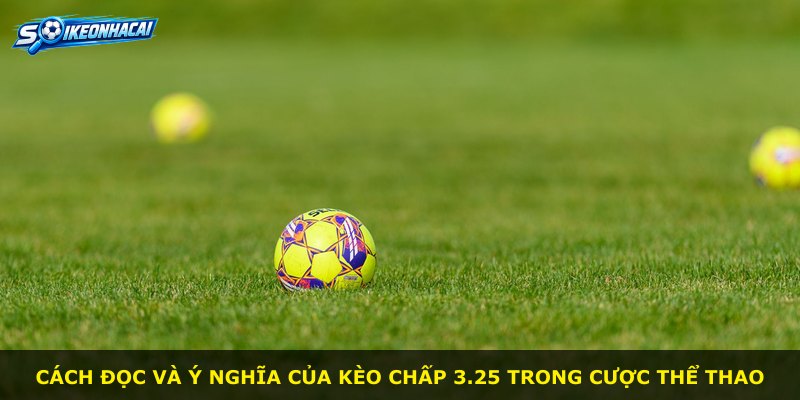 Cách đọc và ý nghĩa của kèo chấp 3.25 trong cược thể thao