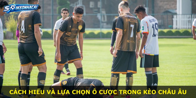 Cách hiểu và lựa chọn ô cược trong kèo Châu Âu