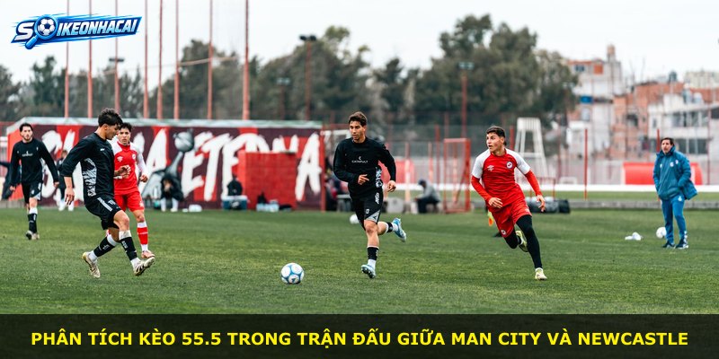 Phân tích kèo 55.5 trong trận đấu giữa Man City và Newcastle