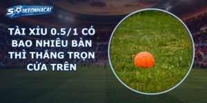 Tài Xỉu 0.5/1
