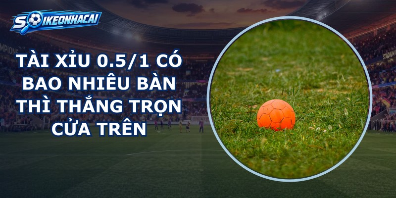 Tài Xỉu 0.5/1