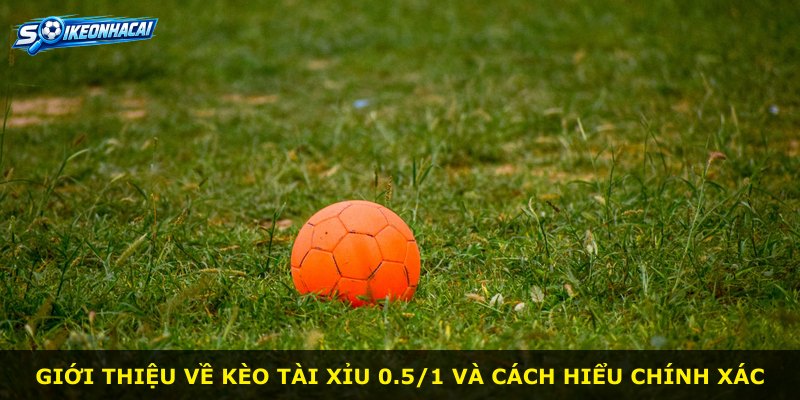 Giới thiệu về kèo Tài Xỉu 0.5/1 và cách hiểu chính xác