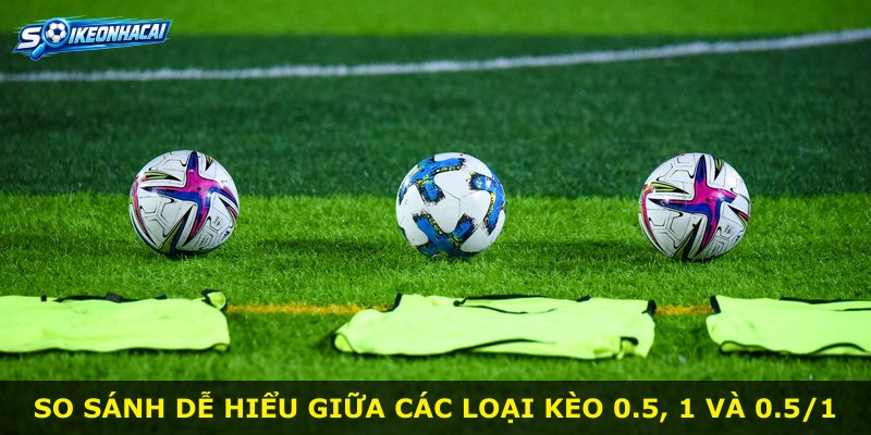 So sánh dễ hiểu giữa các loại kèo 0.5, 1 và 0.5/1
