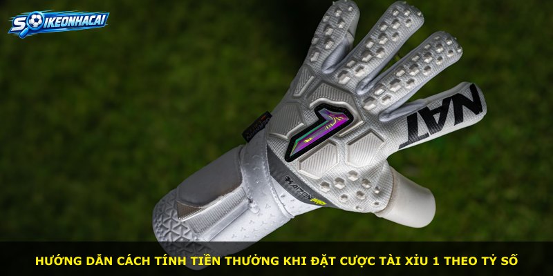 Hướng dẫn cách tính tiền thưởng khi đặt cược Tài Xỉu 1 theo tỷ số