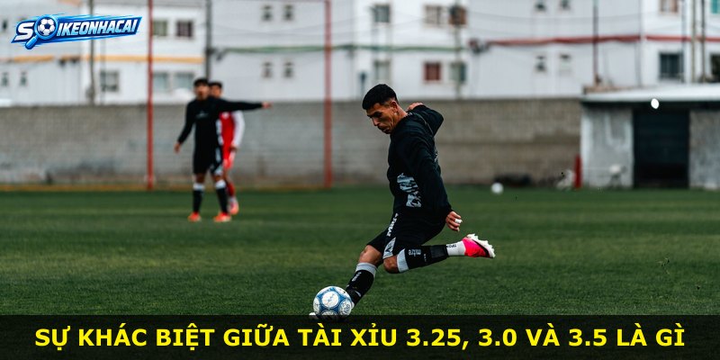Sự khác biệt giữa Tài Xỉu 3.25, 3.0 và 3.5 là gì