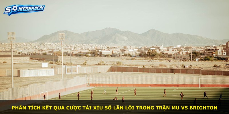 Phân tích kết quả cược Tài Xỉu số lần lỗi trong trận MU vs Brighton